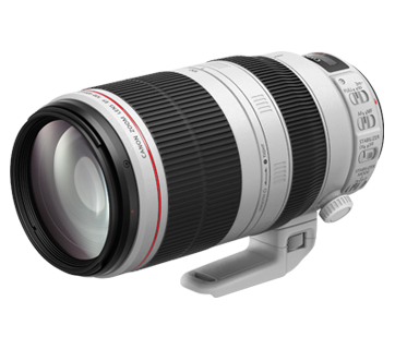 EF 鏡頭- EF 100-400mm f/4.5-5.6L IS II USM - 佳能香港
