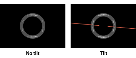 canon 80d level display