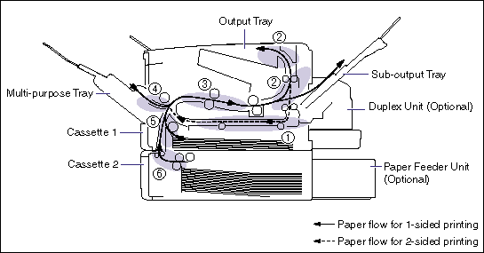 printer with paper feeder