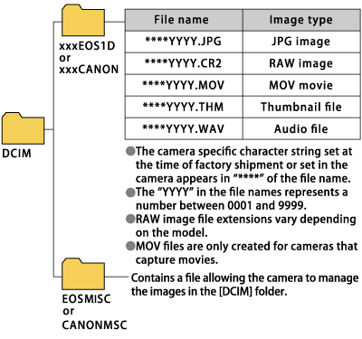 Using A Card Reader Or A Card Slot On A Computer To Download Images
