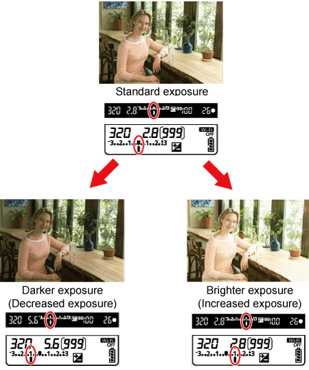 canon 80d exposure compensation