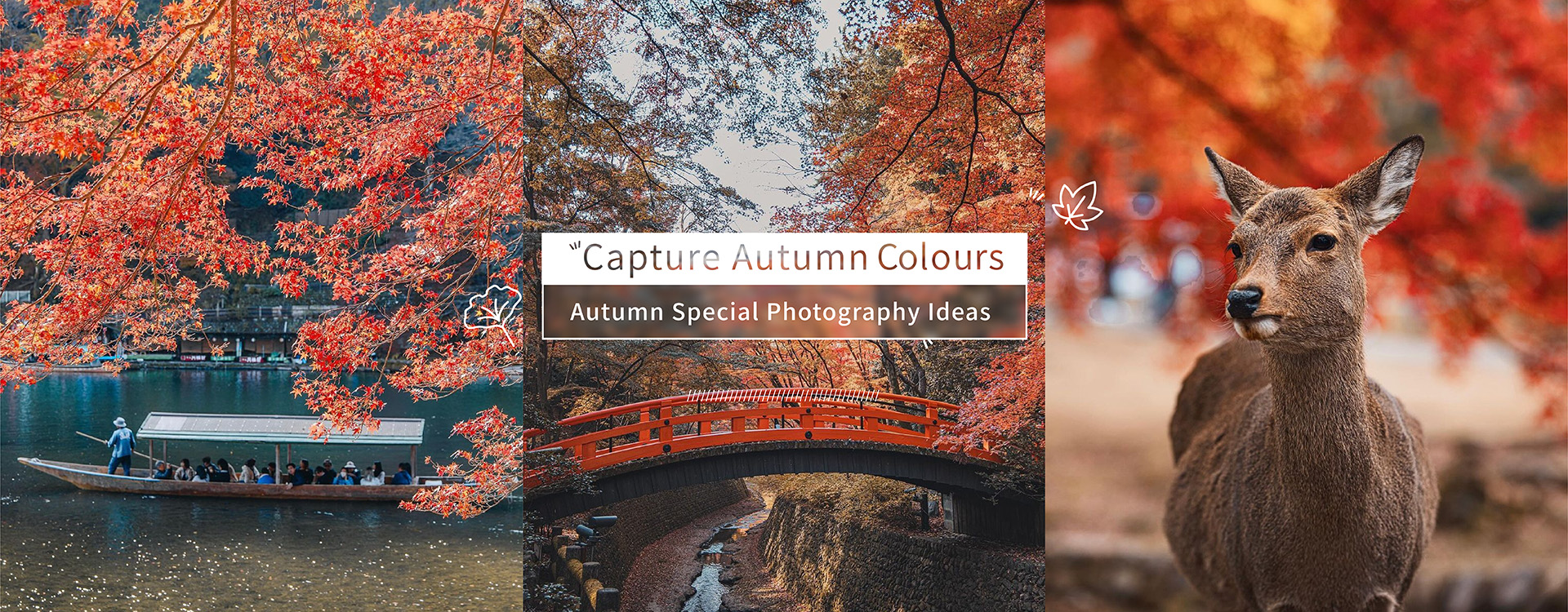 CaptureAutumnColours_banner_CS-EN 2.jpg