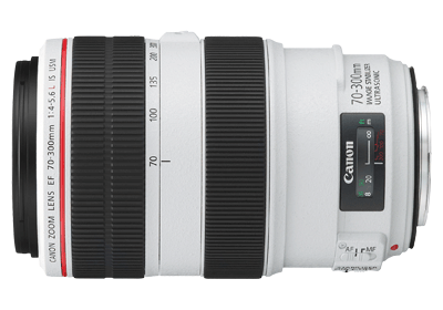 Support - EF70-300mm F4-5.6 L IS USM - Canon HongKong